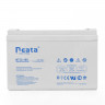Аккумуляторная батарея Neata NT 12-100 купить в Екатеринбурге